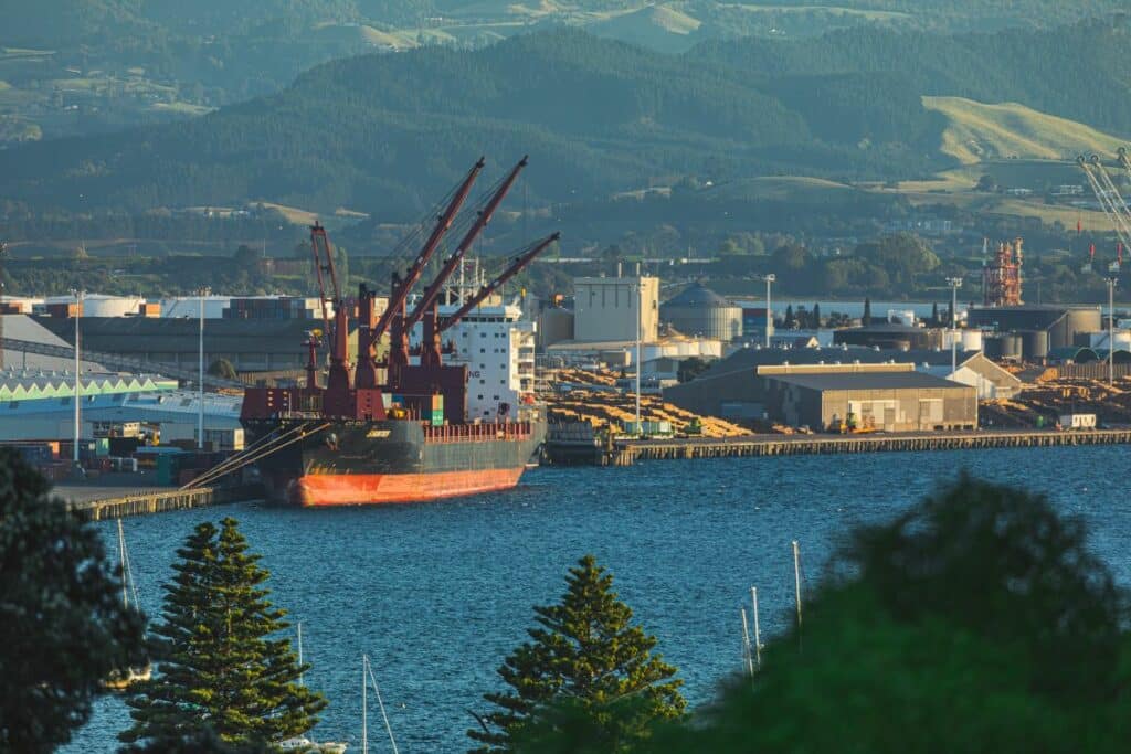 Tauranga cargo ships